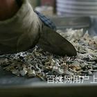 株洲十年宠物殡葬服务老店,株洲哪里有宠物殡葬公司